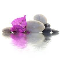 grey stones and purple flower