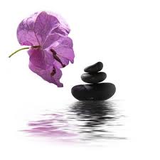 stones and purple flower